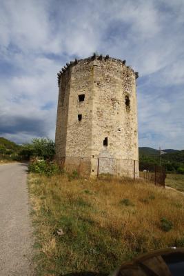 Прикрепленное изображение: A58DSC03583-1.jpg